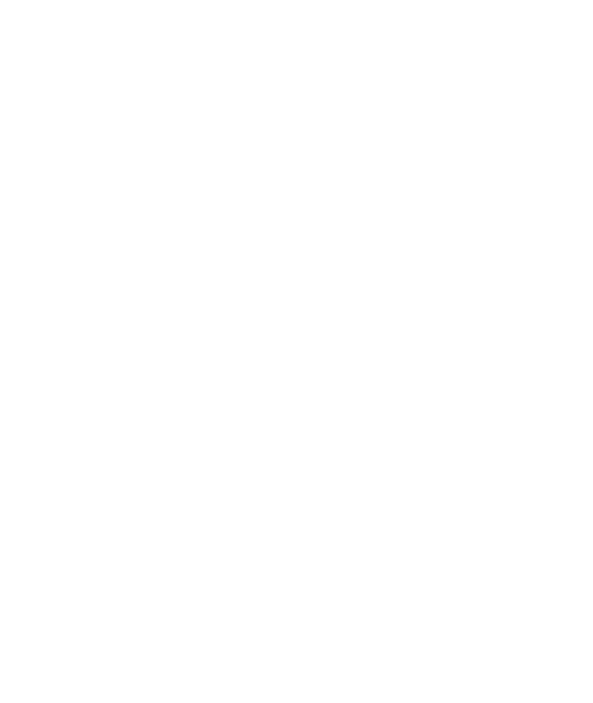 Andressa Duarte